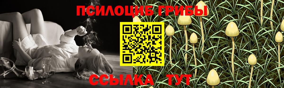 Псилоцибиновые грибы MAGIC MUSHROOMS  Галлюциногенные грибы Psilocybe  Вход с VPN  Новокуйбышевск 